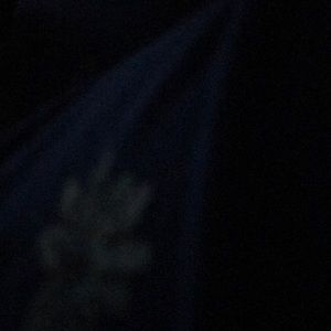 Meet your Posher, Gabrielle